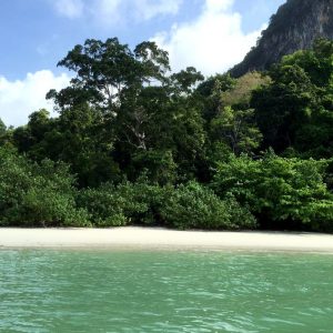 Fiming in the littoral forest of Langkawi Island.