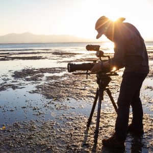 Connected Mangroves Project