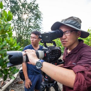 Connected Mangroves Project