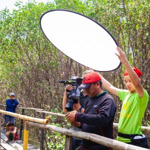 48070692717_434beffce2_b