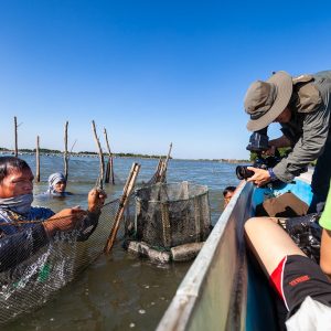 Connected Mangroves Project
